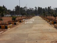 Peninsula Pine Woods Phase II Tower View