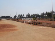 Peninsula Pine Woods Phase II Tower View