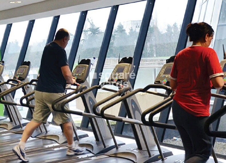 Pioneer Moon Stone Amenities-Features