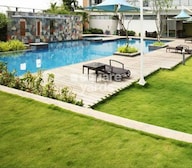 Pionier Daffodil Amenities-Features
