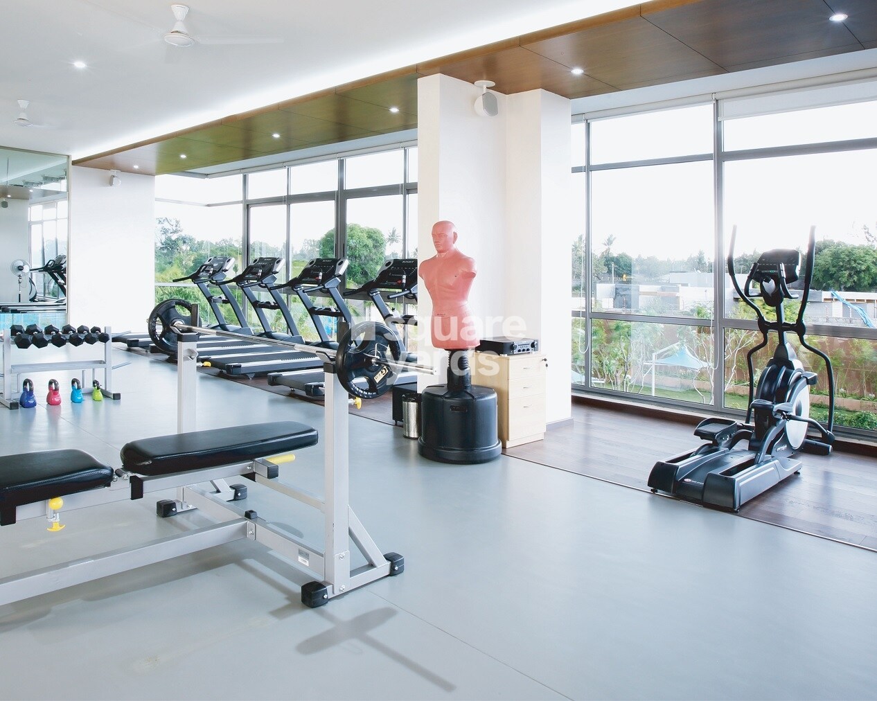 Representative image as actual visual unavailable for Pionier Green Acrres