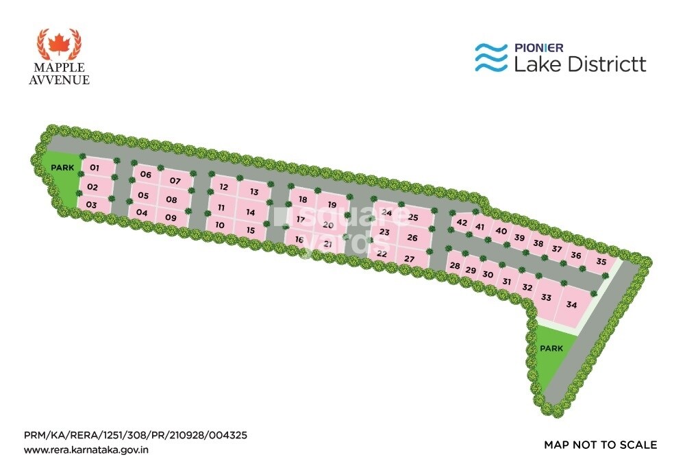 Pionier Mapple Avvenue