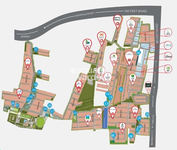 Pionier Mapple Avvenue