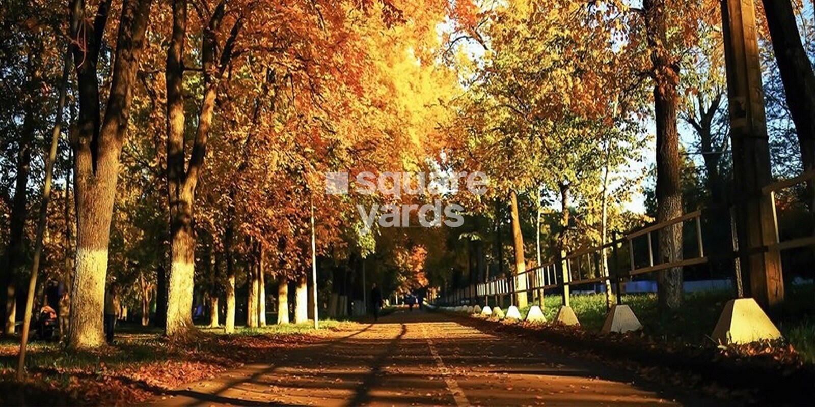 Pionier Mapple Avvenue Featured Image