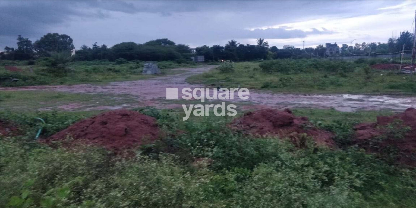 Pionier Orchard Avenue Featured Image