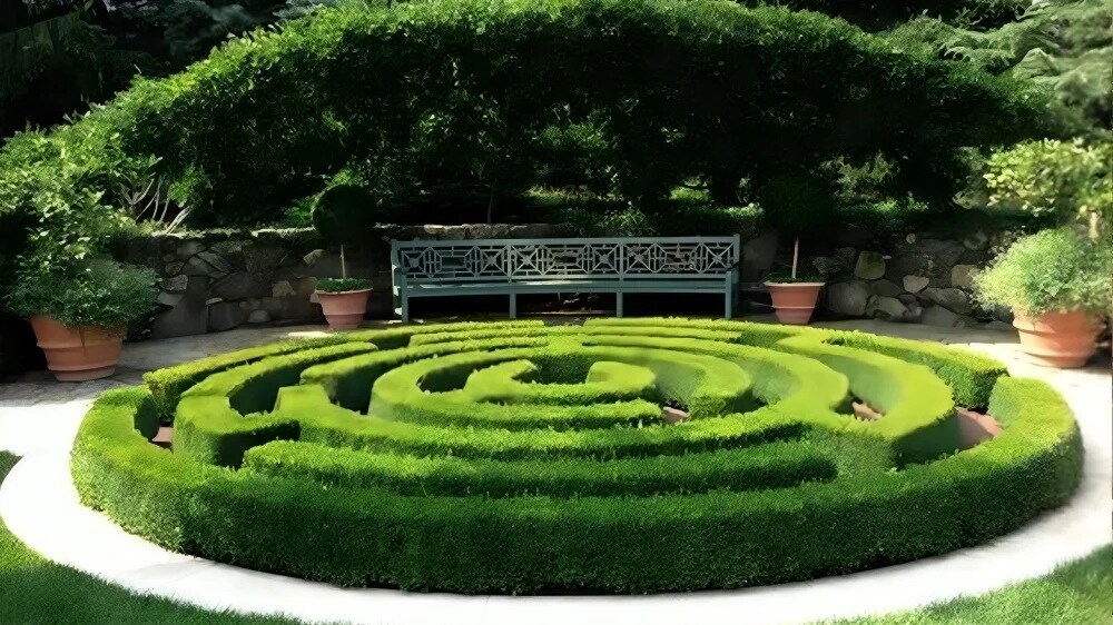 Pionier The Citadel Amenities-Features