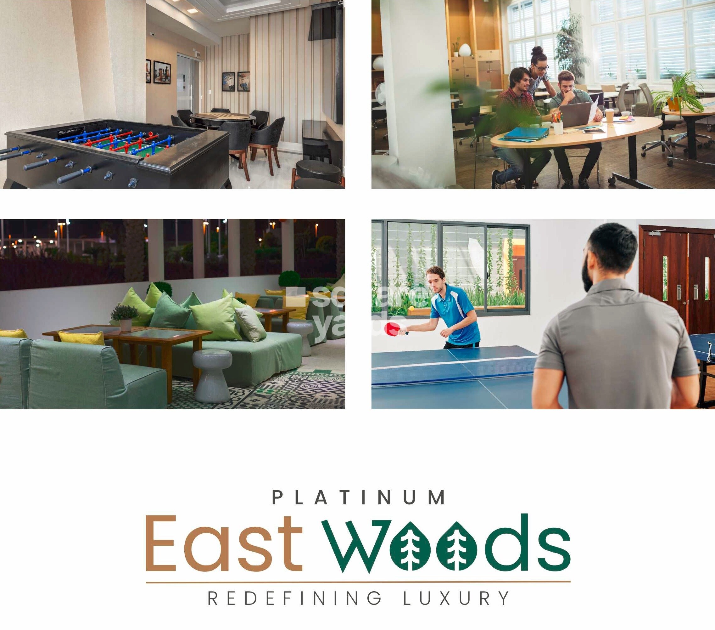 Platinum East Woods