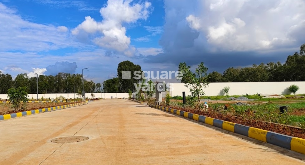 PLD Homes Plot Images