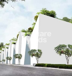 Pooja Tree Shades Pooja Tree Shades
