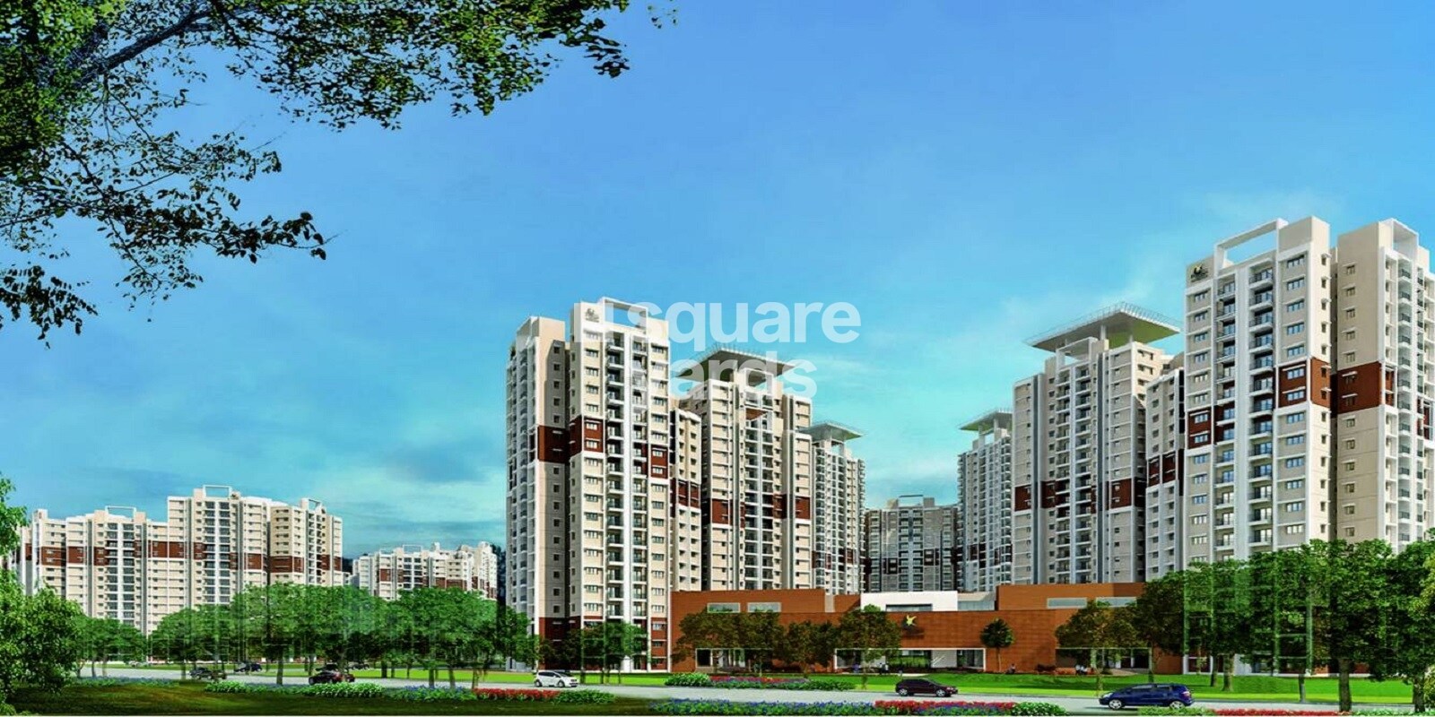 Prestige Birchwood