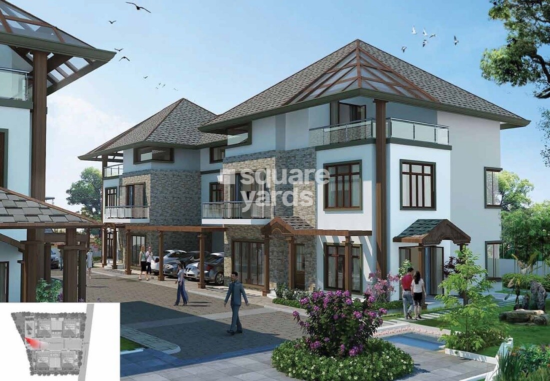 Prestige Bougainvillea