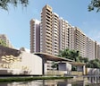 Prestige Evergreen