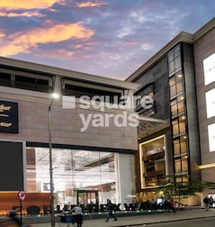 Prestige Forum Rex Walk Prestige Forum Rex Walk