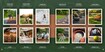 Prestige Gardenia Estate Amenities Features