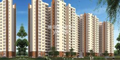 Prestige Lake Ridge