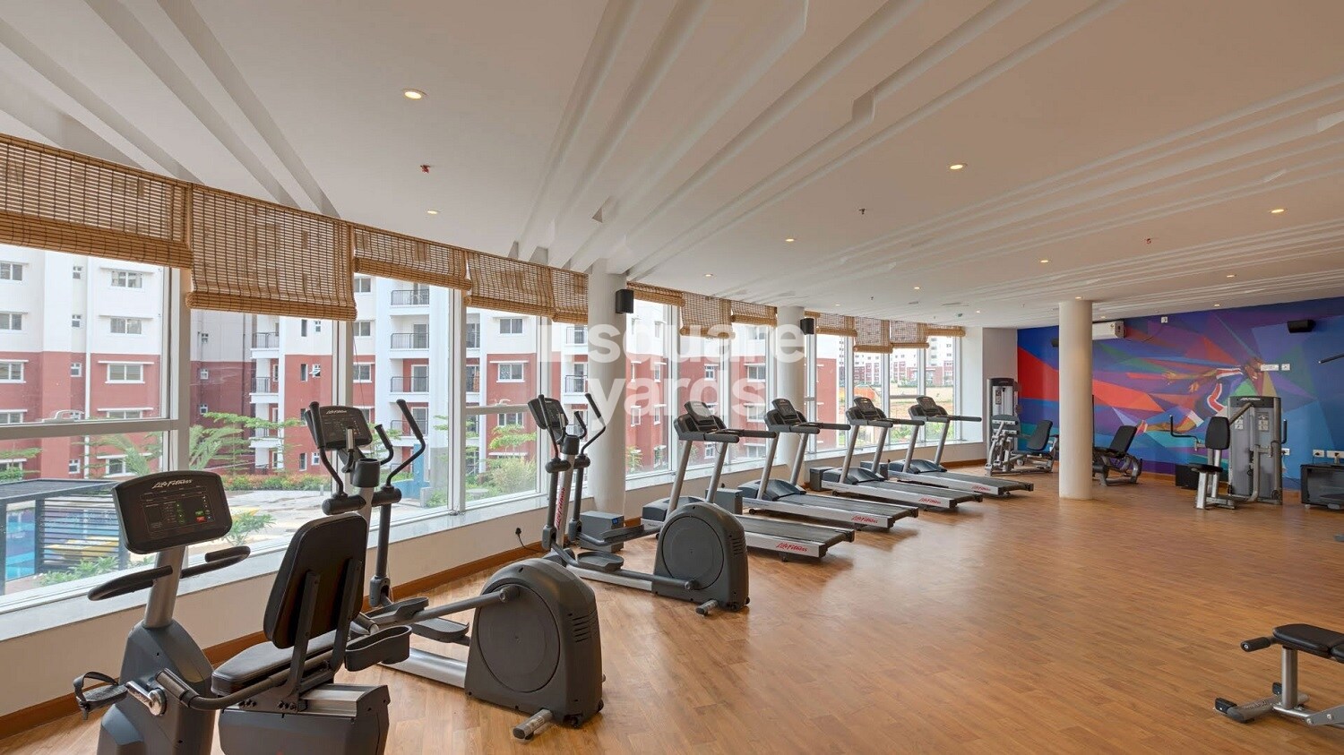 Prestige Norwood Gymnasium Image