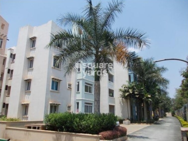 Prestige Palms Tower View