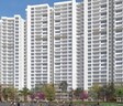 Prestige Park Grove
