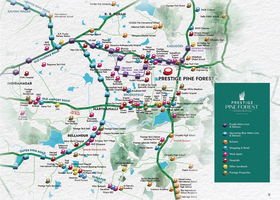 Prestige Pine Forest