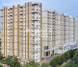 Prestige Pine Wood