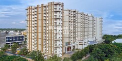 Prestige Pine Wood