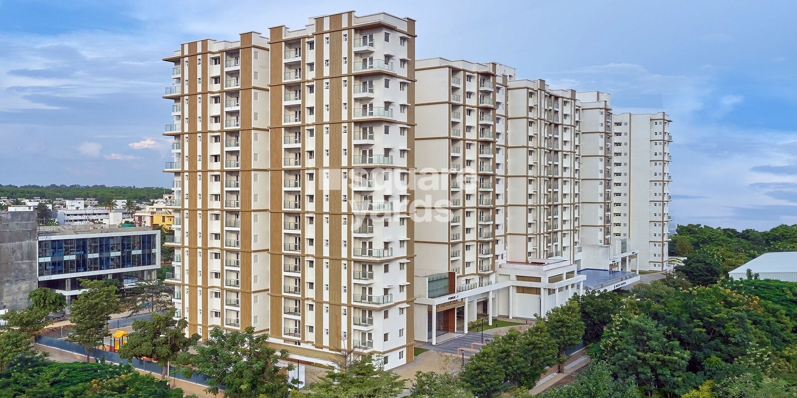 prestige-pine-wood