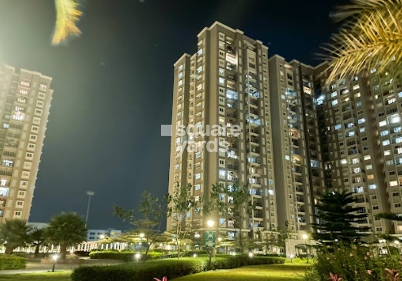 Prestige Song Of The South