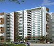 Prestige Sunnyside Oak
