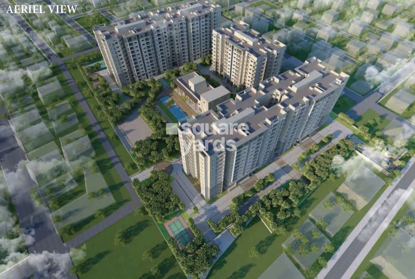 Prestige Willow Tree Tower View 4