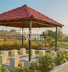 Pride Green Meadows Pride Green Meadows