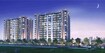 Pride Palatia Project Thumbnail Image