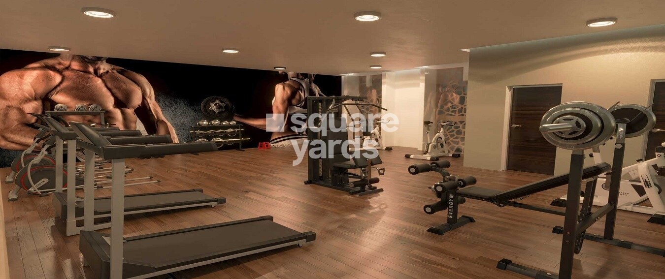 Pride Pegasus Gymnasium Image