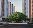 Provident Botanico