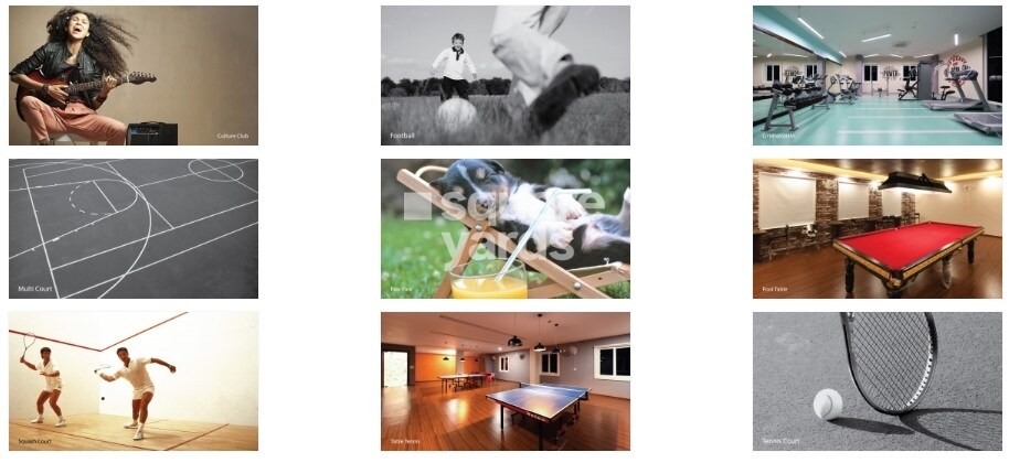 Provident Park Square Amenities-Features 3