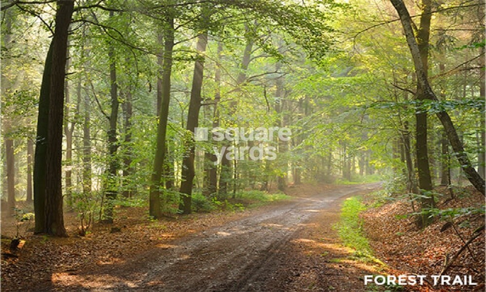 Provident Park Square