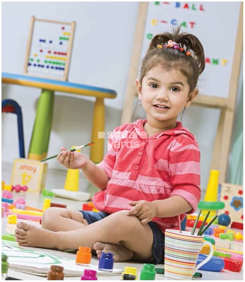 Provident Park Woods