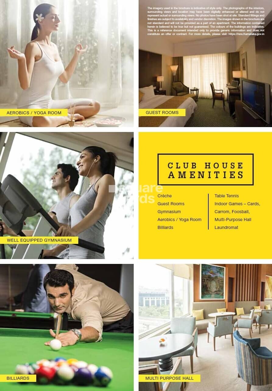 Provident Park Woods