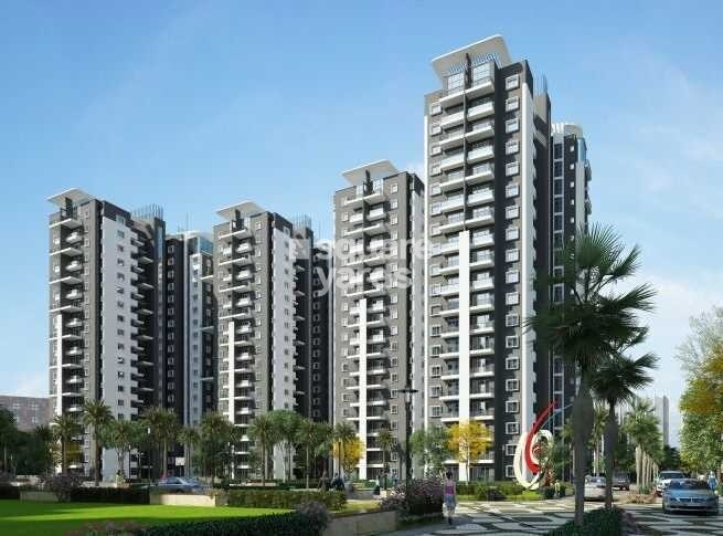 Provident Park Woods