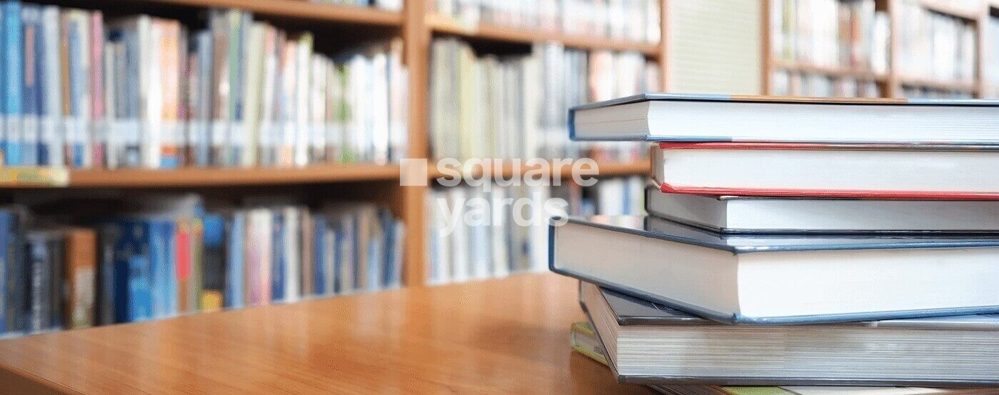 Provident Rays of Dawn