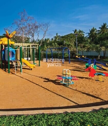 Provident Rays of Dawn