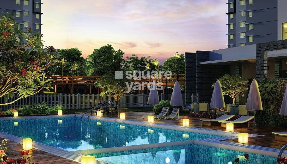 Provident Rays of Dawn