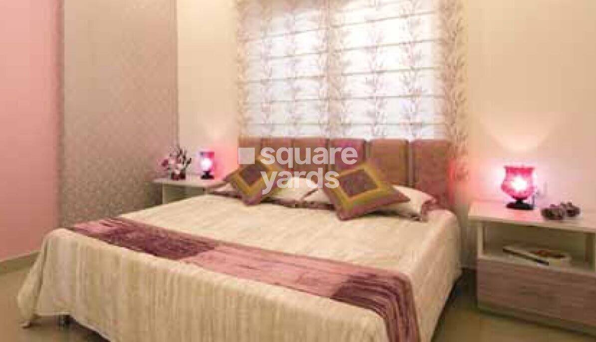 Provident Rays of Dawn