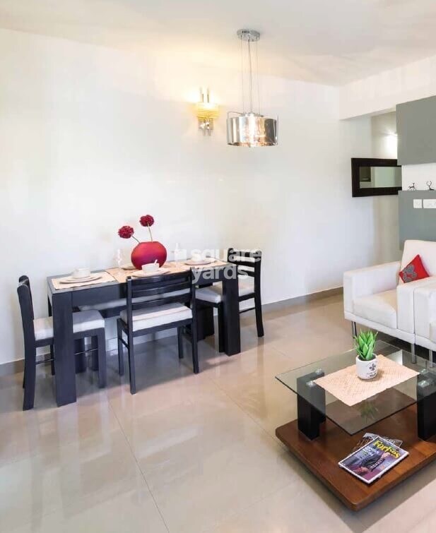 Provident Rays of Dawn