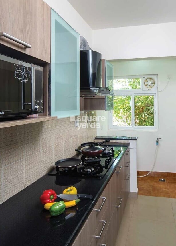 Provident Rays of Dawn