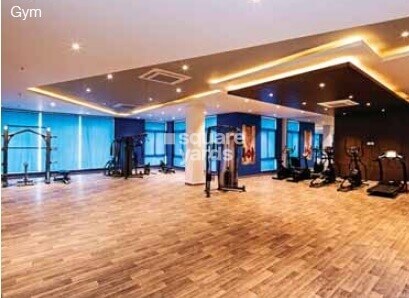 Provident Rays of Dawn