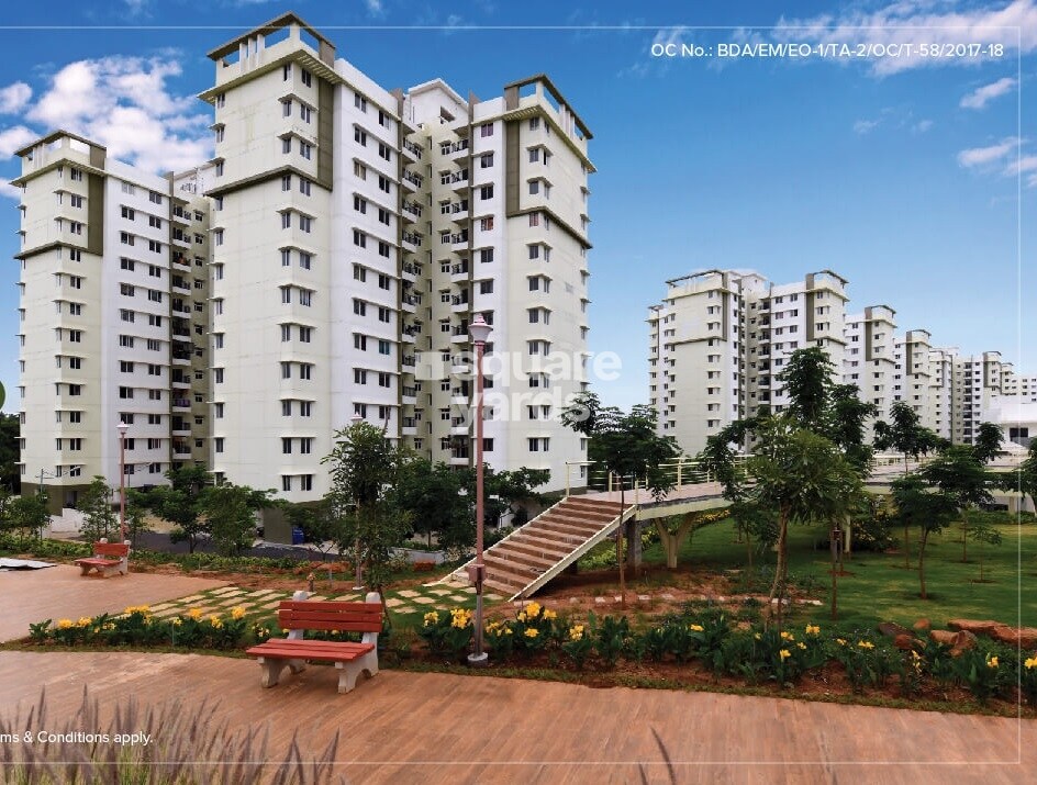 Provident Rays of Dawn