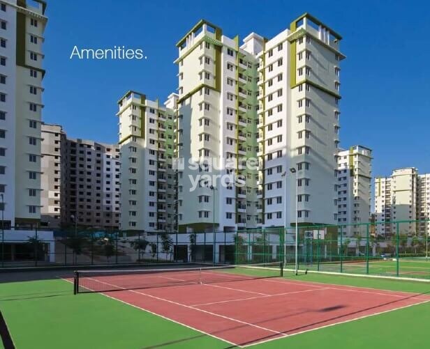 Provident Rays of Dawn