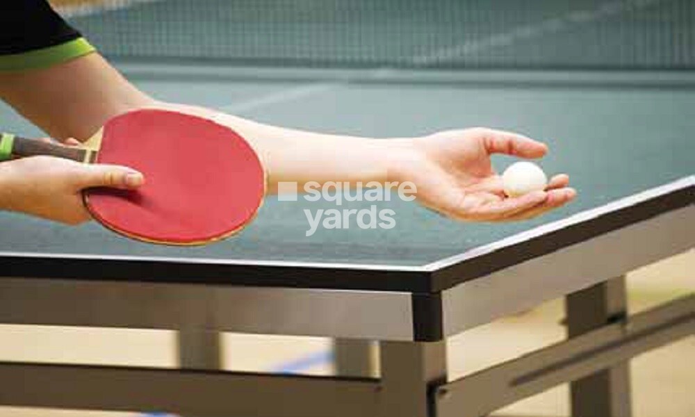 Provident Sunworth Sports facilities Image 2