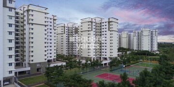 Provident Sunworth
