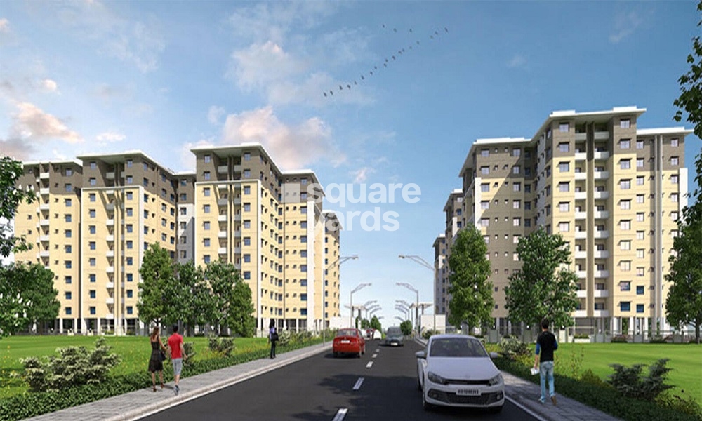 Provident The Tree in Herohalli, Bangalore 49.90 Lac Floor Plans, Location Map & Reviews